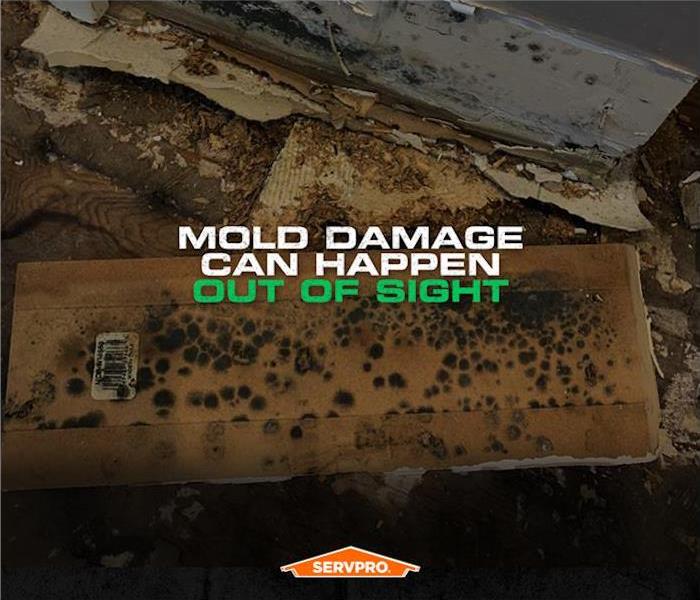 servpro poster mold out of sight